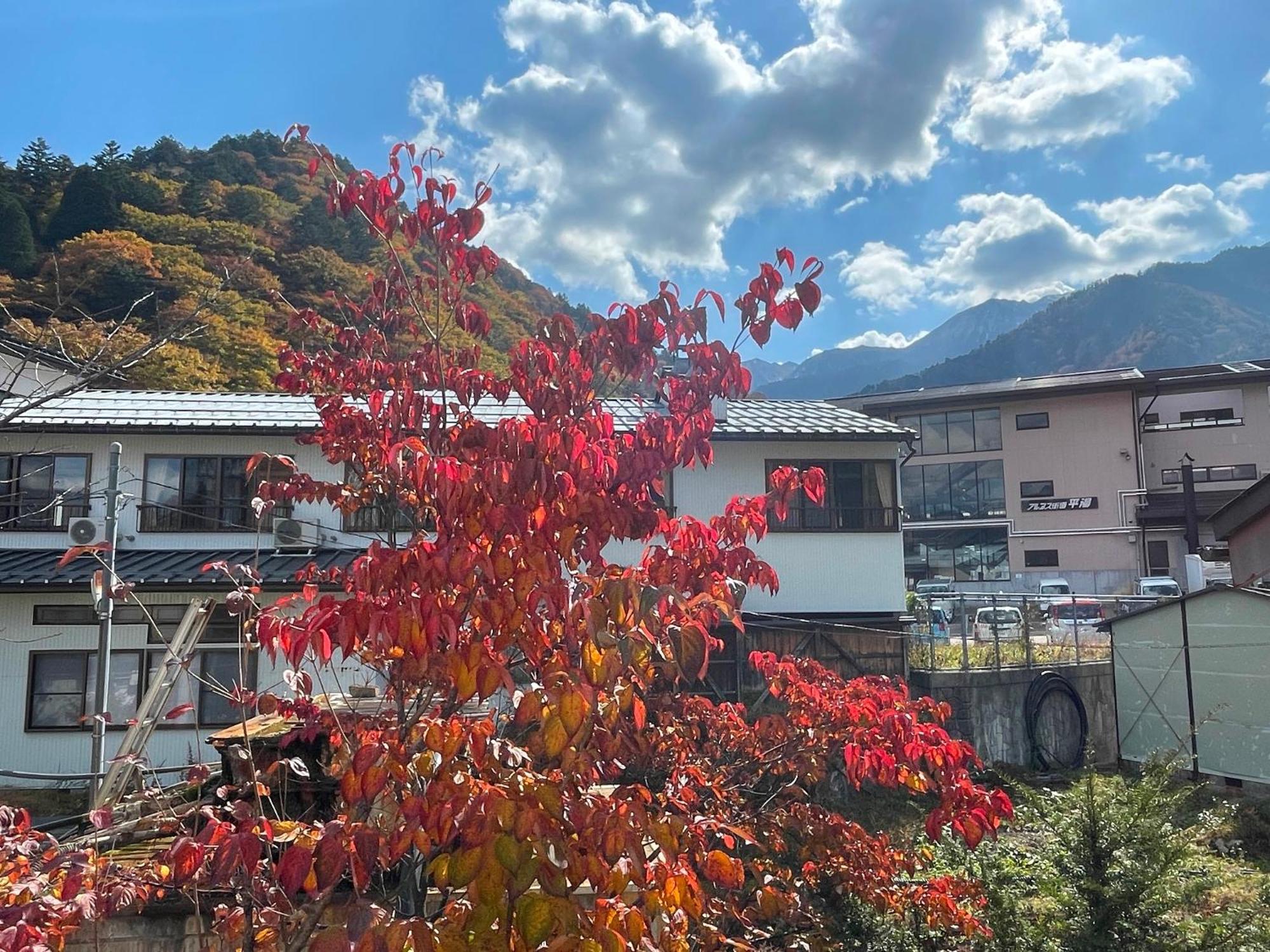 Hotel Tsuyukusa à Takayama  Extérieur photo